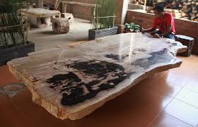 Petrified Wood Table Petrified Wood Petrified Wood Table Natural Wood Furniture