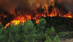 Maybe you would like to learn more about one of these? Situacion De Incendios Forestales En Mexico Al 28 De Febrero