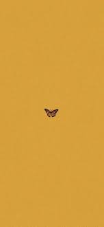 Aesthetic Yellow Bliss In 2021 Iphone Wallpaper Yellow Iphone Wallpaper Vintage Yellow Aesthetic Pastel