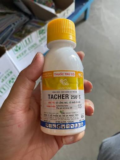 Tacher 250EC
