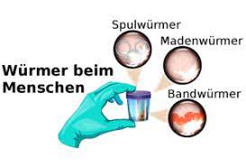 Madenwurmer Bei Kindern Und In Der Schwangerschaft