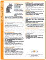 Metal, hardware cloth or sheet metal. Hamster Binder