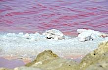 Separate salt and water using distillation. Sea Salt Wikipedia