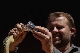 Weigel Venom Centre at Australian Reptile Park for snake bites