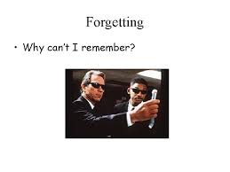 Long Term Memory The Relatively Permanent And Limitless