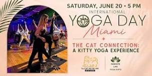 The Cat Connection: Kitty Yoga