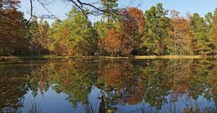 #2 best value of 431 places to stay in danbury. Hanging Rock State Park Lodging Hometogo