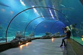 The Oceanium In Rotterdam Netherlands By Rotterdam Netherlands Netherlands Travel Rotterdam