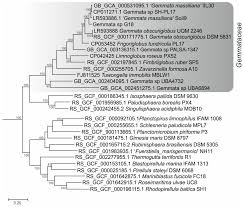 Touchscreen pos terminals are the norm for professional operations of your business. Sustainability Free Full Text Exploring Antibiotic Susceptibility Resistome And Mobilome Structure Of Planctomycetes From Gemmataceae Family Html