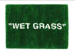Off White Wet Grass Ikea Rug On Mercari Ikea Rug Ikea Art Ikea