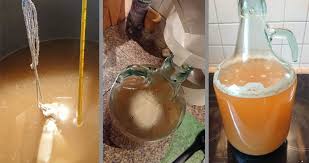 Die besserwisser sind sich einig: Bierbrauen Bier Selbst Gemacht Waschbar Magazin