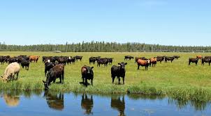 Faculty communication and media studies universiti teknologi mara (uitm) 40450 shah alam, selangor darul ehsan malaysia general inquiry korporat.masscomm@uitm.edu.my website inquiry webmaster : Graduate Quick Search Uitm Information Searching Strategy In This Video You Ll Learn More About