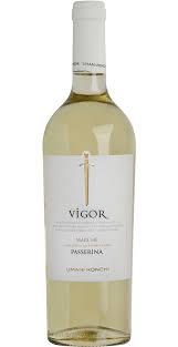 Image result for Passerina