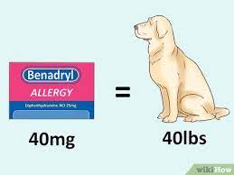 3 Ways To Determine Benadryl Dosage For Dogs Wikihow