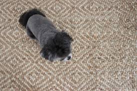 Check spelling or type a new query. Jute Entryway Rug The Hamby Home