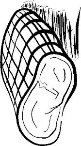 Coloring pages for meat are available below. 55 Best Meat Coloring Pages For Kids Updated 2018