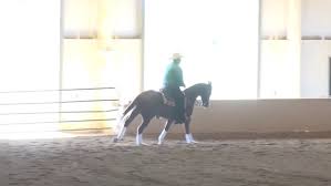 091617 EPRHA NP Edward Bricker Gangsters Ruf Pug