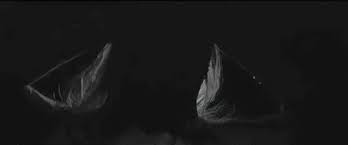 Spoilers for last night's premiere. Two Wolves Gifs Get The Best Gif On Giphy