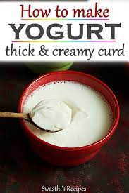 How To Make Curd Or Dahi At Home Thick Curd Recipe Recipe Curd Recipe Indian Curd Recipe Recipes
