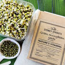 Green Mungbean Sprouting Seeds – Sydney Sprouts