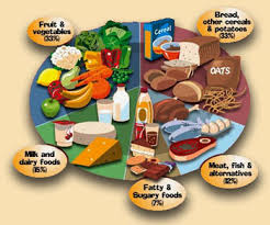 Free Balanced Diet Chart Download Free Clip Art Free Clip