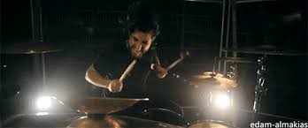 Animal decides to take over beakers show, and does the worlds craziest drum solo! Top 30 Animal Playing Drums Gifs Find The Best Gif On Gfycat