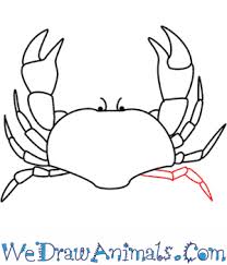 Follow the step by step illustrated instructions below to learn how to draw a crab like the one below. How To Draw A Crab