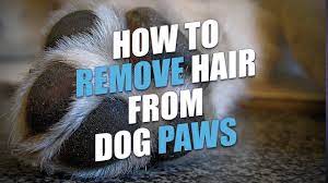 Pin On Woof