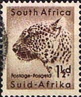 Postage Stamps South Africa 1954 Wild Animals Sg 153 Leopard Fine Used Sg 153 Scott 202 South Africa Postage Stamps Africa