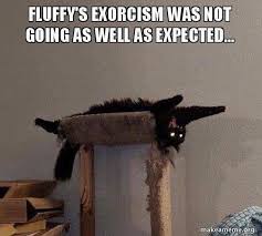 Bookofshadows Spiritual Witchcraft Witch Pagan Wicca Salt Memes Meme Socialmediamarketing Empath Wiccans Crazy Cats Funny Animal Pictures Cat Memes