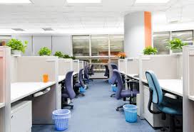 Best Office Plants Good Plants For The Office Environment Clean Office Commercial Cleaning Services Office Cleaning Services