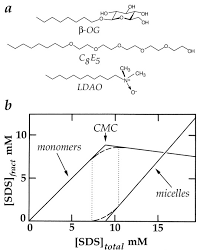 At that time, petroleum was found to be a plentiful source for the manufacture of these surfactants. Detergents As Tools In Membrane Biochemistry Journal Of Biological Chemistry