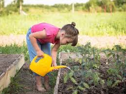 Most vegetables need a full six hours of sunlight should you start your vegetable garden from seeds or plants? 11 Tips For Planting A Garden With Kids Garden For Beginners