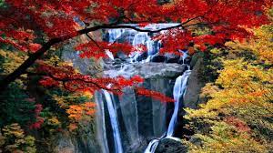 Hd Waterfall Wallpapers For Windows Waterfall Wallpaper Fall Pictures Waterfall