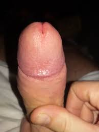See And Save As Steifer Penis Porn Pict 4crot Com