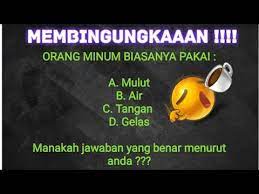 Karena itu, aku memutuskan memelihara seekor burung kakatua. 10 Teka Teki Lucu Dan Menjebak Youtube