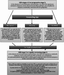 A Diet Fl Owchart And Counseling Tips Download Scientific