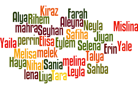 Et si vous commenciez par faire une liste de prénoms fille commençant par a séparément ? Top 150 Prenoms Turcs Filles Originaux Et Moderne Prenoms Musulmans