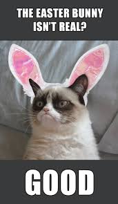 Happy easter meme funny easter memes funny rabbit easter specials easter banner easter traditions meme pictures cute little animals funny happy. 25 Funny Happy Easter Memes To Share With Friends