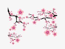 Vector Pink Japanese Elements Cherry Blossom Branches Up Cherry Blossom Clipart Japanese Elements Cherry Blossoms Png Transparent Clipart Image And Psd File Cherry Blossom Art Cherry Blossom Vector Chinese Cherry Blossom