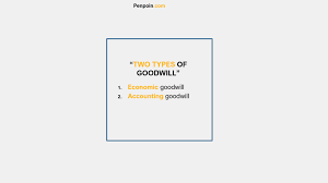 two types of goodwill financial statements accounting statement profit and loss difference between fund flow income