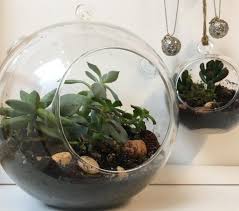 Our garden windows let in tons of natural light, particularly from above, offering a unique solution for brightening up your home. Jumbo Terrarium Workshops Cole Hardware Cole Hardware