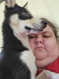 Dog in yard smells female in heat