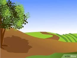 We did not find results for: How To Plant A Flowering Almond Shrub 13 Steps With Pictures