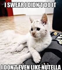Let's face it, cats are the unofficial mascots of the internet. Funny Cat Memes 2019 Cat Memes 2019 60 Cat Memes To Inspire You To Take A Cat Memes 2019 60 Cat Memes To Inspire You To Take A