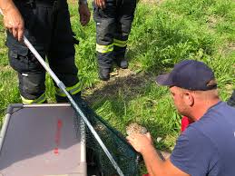 Home » einsätze » laufende einsätze in oö. Owvllr8jefbyhm