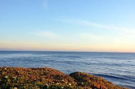 Some of the most popular hotels with a pool in santa cruz include dream inn santa cruz, beach street inn and suites, and hyatt place santa cruz. Top Beaches In Santa Cruz Live Love Santa Cruz