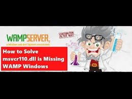 Maybe you would like to learn more about one of these? Msvcr110 Dll Missing Fixed Learning Solving Education