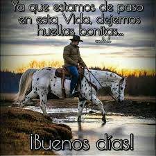 Buenos Dias Para Enviar Http Videowhatsapp Net Buenos Dias Para Enviar 544 Html Vwhatsapp Buenosdias Horses Animals Morning Greeting