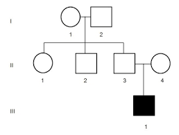 all about pedigrees pedigrees for predicting genetic traits